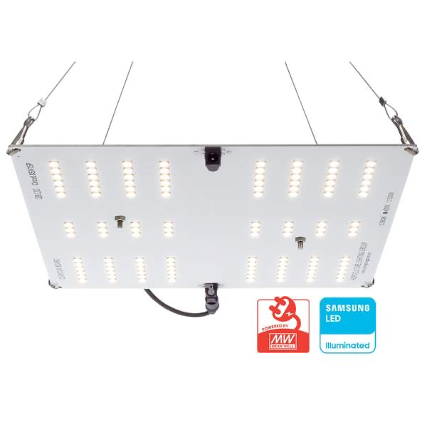Horticulture lightning Group 65 V2