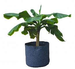 5 Gal Root Pot, 11 x 10.25"