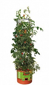 Tomato Barrel w/ 4' Tower