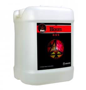 Cutting Edge Bloom 2.5 Gallon