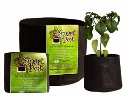 5 Gallon Black Smart Pot