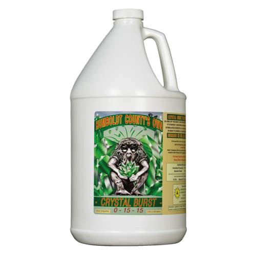 Emerald Triangle Crystal Burst Quart