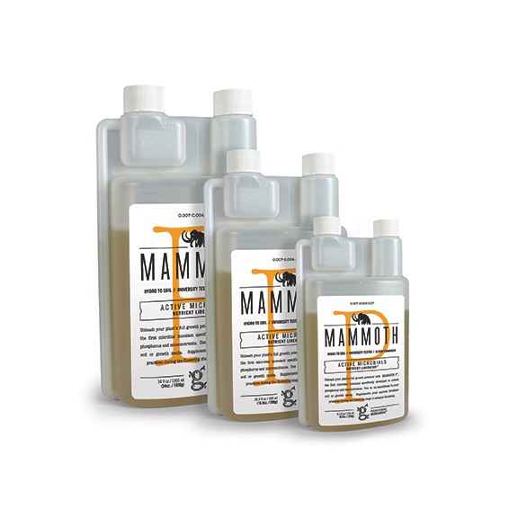 Mammoth 500ml