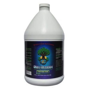 Sea Green 1 Gal