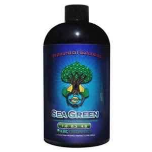 Sea Green 16oz
