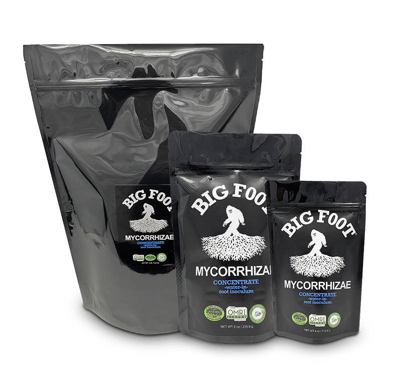 BIG FOOT CONCENTRATE 32OZ