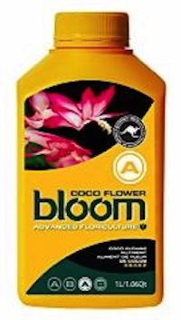 BLOOM FLOWER A 15L