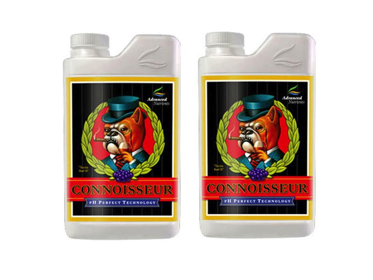 Connoisseur Bloom B 1L