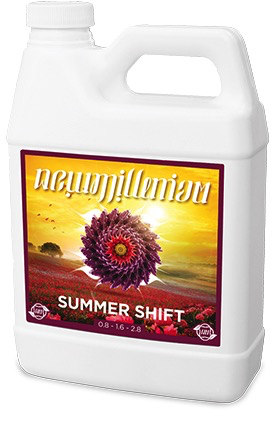 New Millenium Summer Shift Qt.