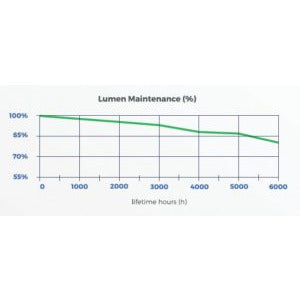 DLI 1000W DE Vegetative Plus